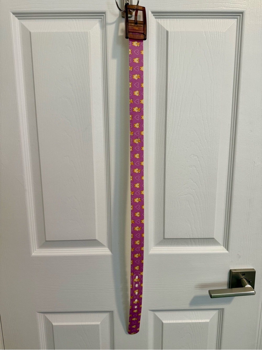 Kids Pink Corgi-Print Adjustable Riding Belt